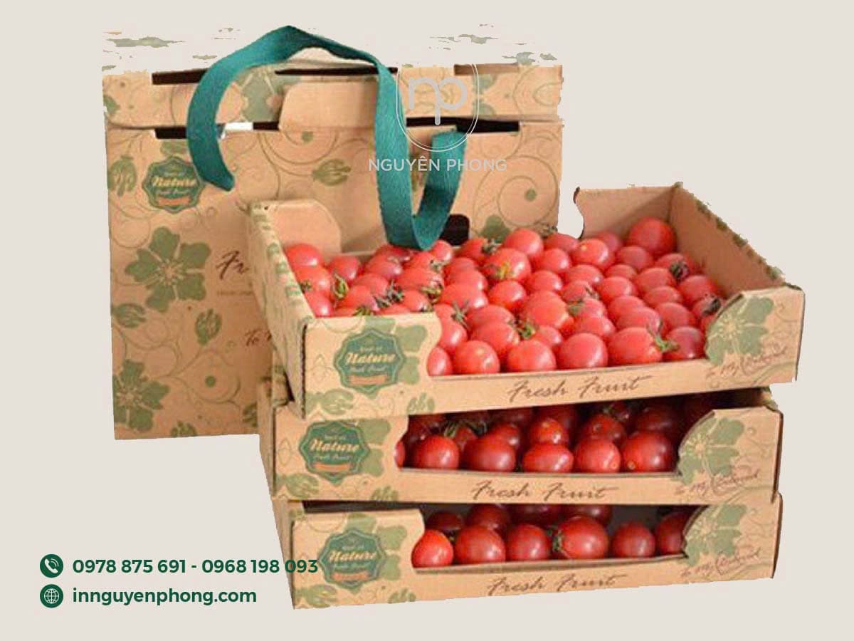 Khay Giấy Đựng Hoa Quả Trái Cây - Lưu Giữ Độ Tươi Ngon